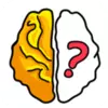 Brain Out